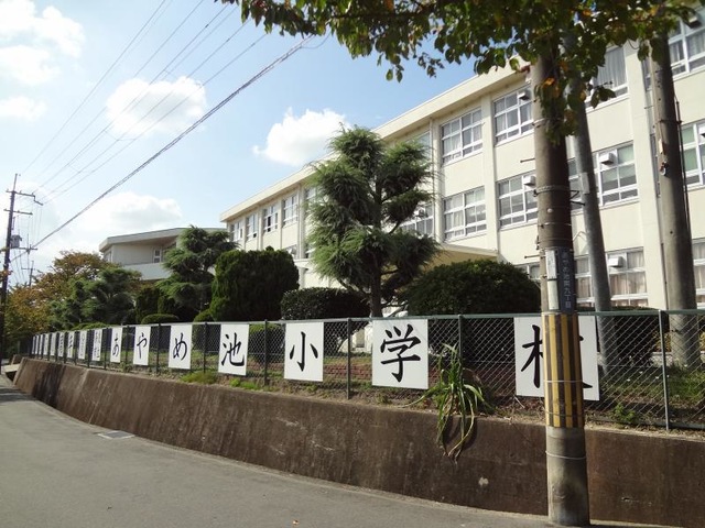 あやめ池小学校